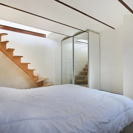 Beautiful Basement Duplex In The Centre Of 公寓